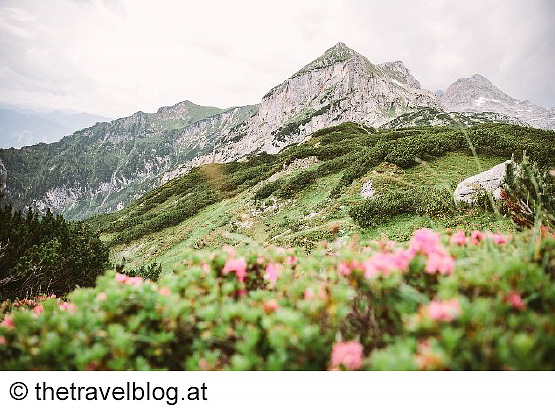 Trek Safari - King Dachstein Trail pro běžce 14